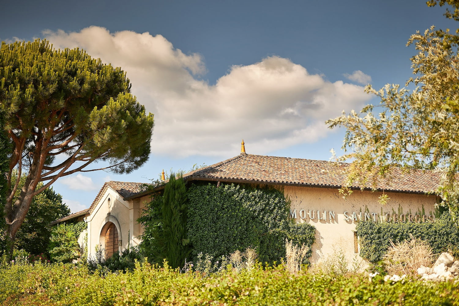 Château Moulin Saint-Georges - Esprit Ausone Famille Vauthier