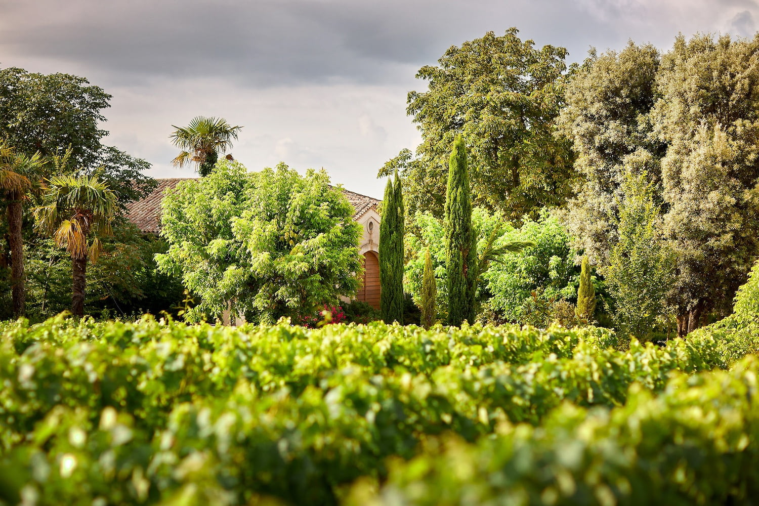 Chateau Moulin Saint-Georges - Esprit Ausone Famille Vauthier